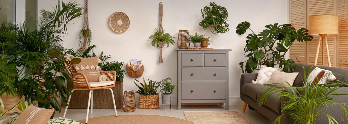 Welcome to Our Store